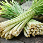 Lemongrass-prevenirea-cancerului-tratament-pentru-problemele-digestive-si-alte-tulburari-de-sanatate.jpg