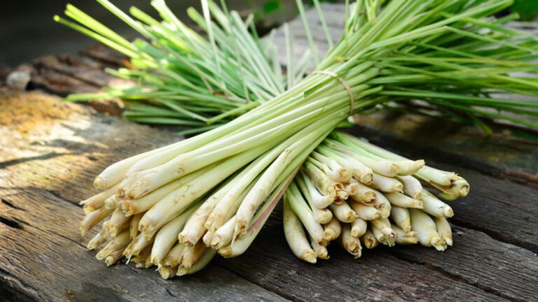 Lemongrass-prevenirea-cancerului-tratament-pentru-problemele-digestive-si-alte-tulburari-de-sanatate.jpg