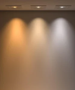 68ac71e0c1c1e4.31045031